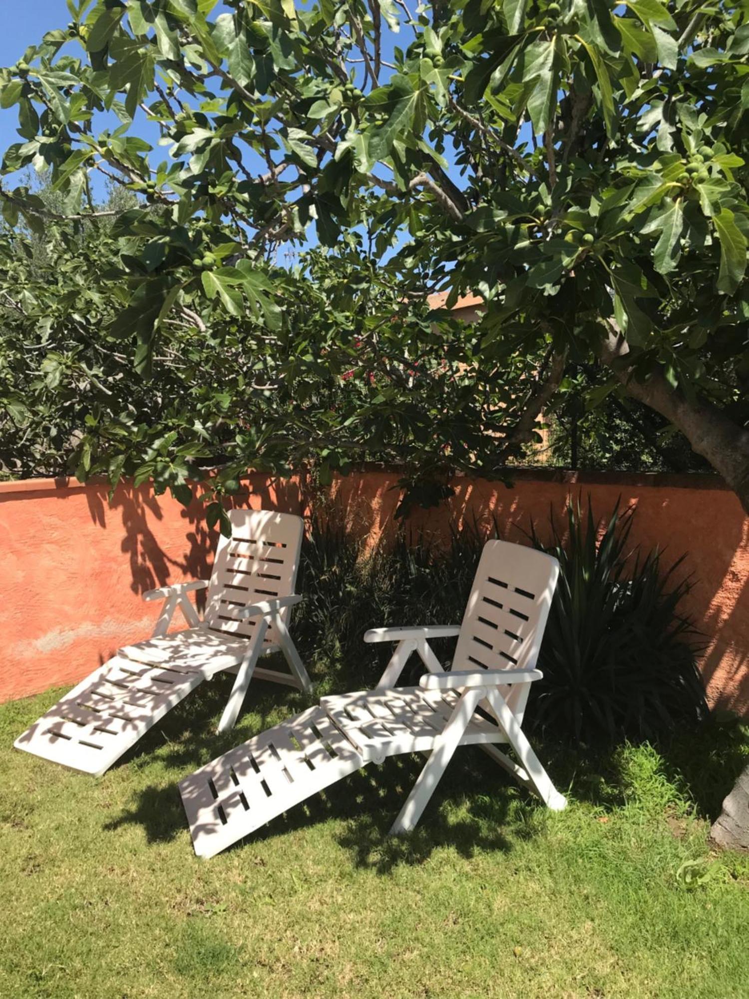 B&B Da Tizy 산테오도로 외부 사진